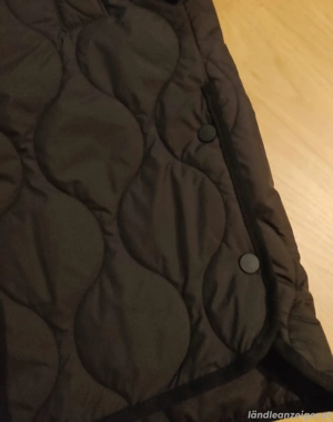 Steppmantel  Bild 2