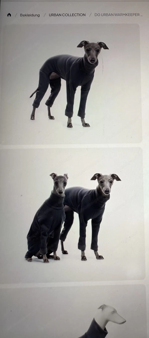 Dog Gear Windhundmantel f. Windspiel, Pinscher, Whippet, Gr. S