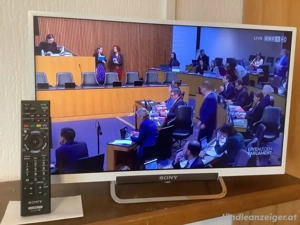 Farbfernseher mit Fernbedienung