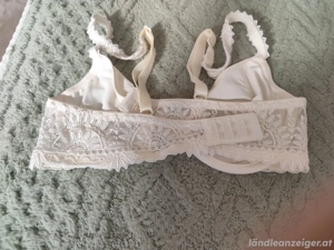 BH Chantelle  Bild 2