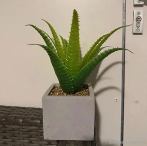 Kunstpflanzen Bild 2