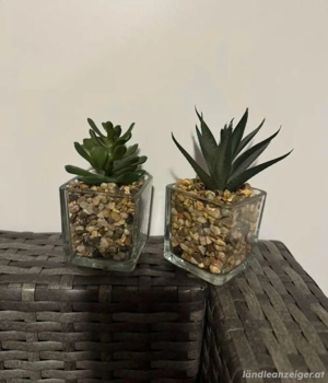 Kunstpflanzen Bild 3