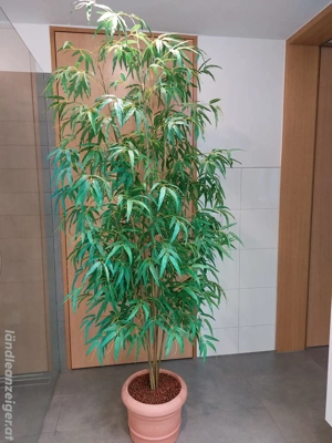 Bambusbaum  (Kunstpflanze)