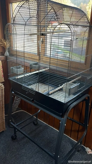 Vogel Käfig 