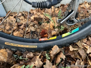 Porsche Bike s 1998 Bild 10