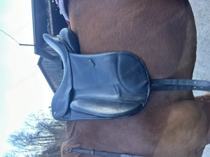 Hennig Dressursattel 17.5 Bild 2