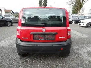 Fiat Panda 1,2 8v Classic Bild 5