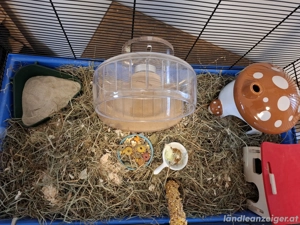 Hamsterkäfig mit Zubehör