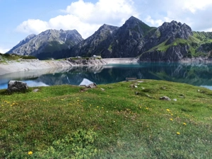 Suche Stihl Motorsäge zu kaufen..