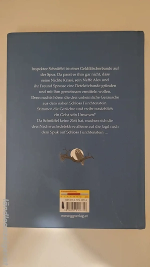 Spuk auf Schloss Fürchtenstein Buch Bild 2