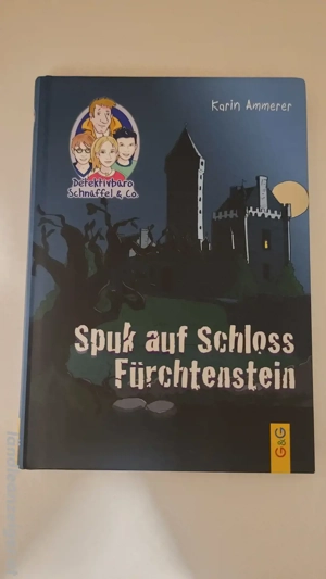 Spuk auf Schloss Fürchtenstein Buch