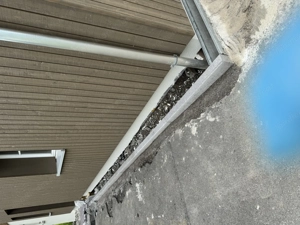 Verputzarbeiten,Malerarbeiten... Bild 5