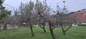 Immobilie in Ungarn, nur wenige Kilometer vom Thermalbad Zalakaros entfernt !! Bild 10