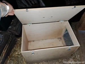 Kleintier-Transportboxen Bild 3