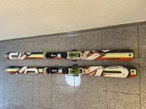 Tourenski mit Bindung  Bild 4