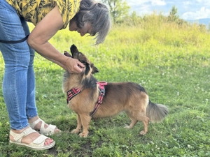 Frieda sucht ihre Menschen <3 Bild 5