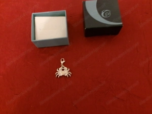 Anhänger oder Charm für Bettelarmband 