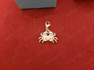 Anhänger oder Charm für ein Bettelarmband