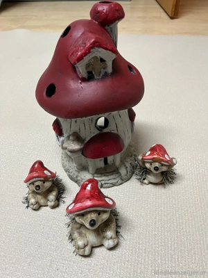 Igelfamilie mit Igelhaus Bild 2