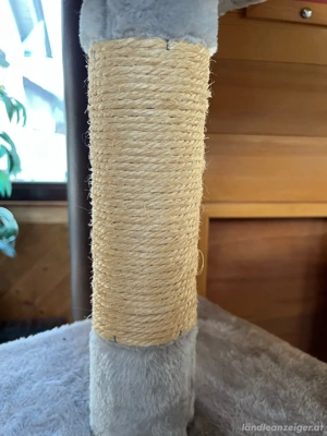 großer Kratzbaum Bild 2