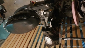 Moped Sym Fiddle  3 Gratis  Bild 4