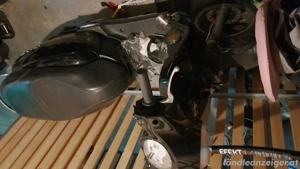 Moped Sym Fiddle  3 Gratis  Bild 2