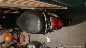 Moped Sym Fiddle  3 Gratis 