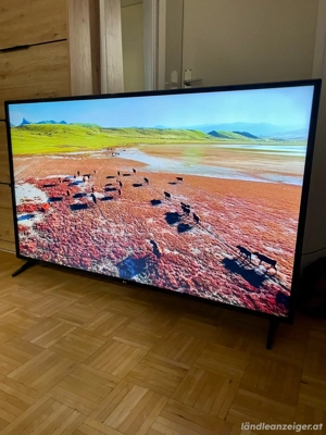 LG 65 Zoll 4K Ultra HD smart tv Bild 8