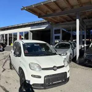 Fiat Panda Bild 2