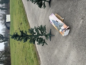 plastik christbaum 120 cm & 150 cm weihnachtsbaum tanne weihnachten deko fest  Bild 5