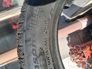 Allwetterrefen  Bild 2