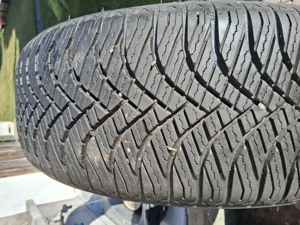 Allwetterrefen  Bild 3