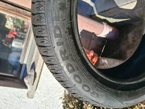 Allwetterrefen  Bild 5