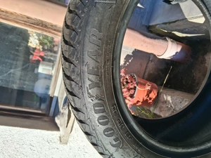 Ganz Jahresreifen Bild 6