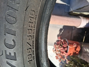 Ganz Jahresreifen Bild 7