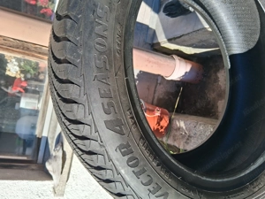 Ganz Jahresreifen Bild 8