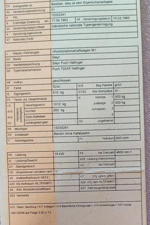 Steyr Daimler Puch Haflinger Bild 3