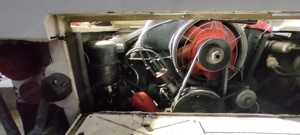 Steyr Daimler Puch Haflinger Bild 9