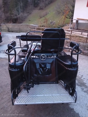  Kutsche Glinkowski Marathonwagen