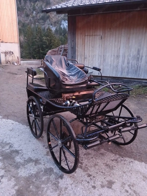  Kutsche Glinkowski Marathonwagen Bild 3
