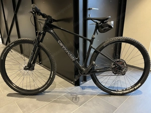 Carbon-Hardtail Cannondale, Modelljahr 2024