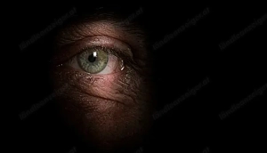 Suche Paare denen ich beim Sex zuschauen darf.  ( Zahle TG  )