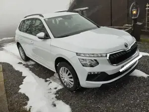 Skoda Kamiq TSI Bild 6