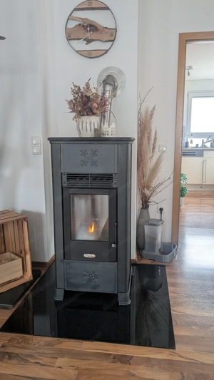 Pellet Ofen Palazzetti 