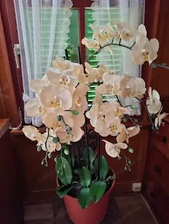 Orchidee Kunststoff Bild 2