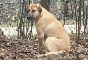 Sandi - NOTFALL Österreich Bild 2