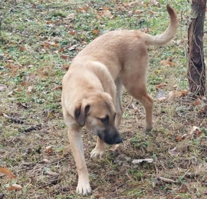 Sandi - NOTFALL Österreich Bild 4