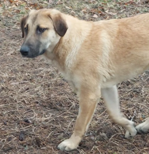 Sandi - NOTFALL Österreich Bild 3