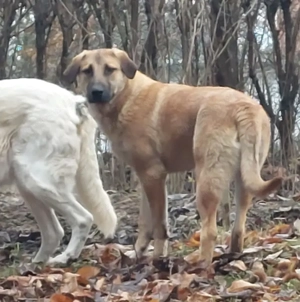 Sandi - NOTFALL Österreich Bild 8