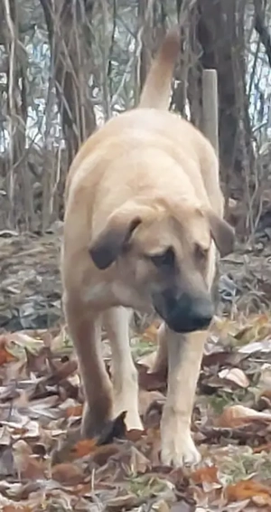 Sandi - NOTFALL Österreich Bild 6